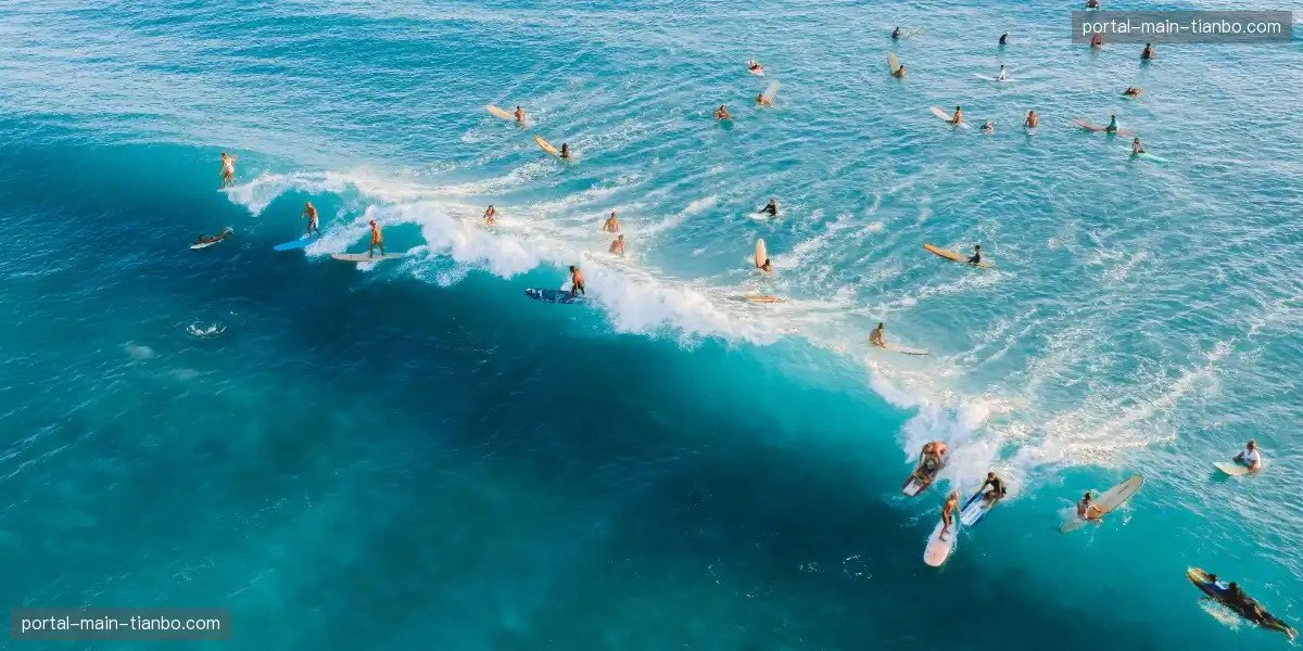 🏀 神迹之球逆天改命，全位面情绪奇点爆炸。💥